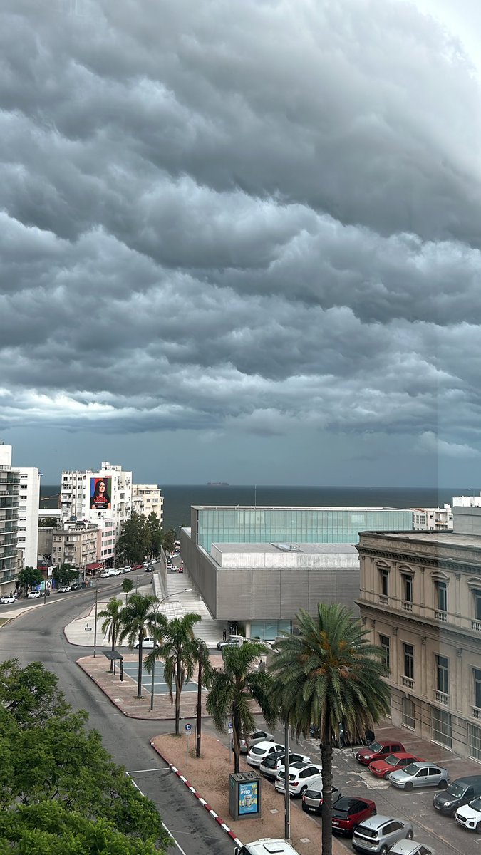 ⛈️ETAPA SUSPENDIDA⛈️

AH, NO SOLTABA NI A PALO VECINO