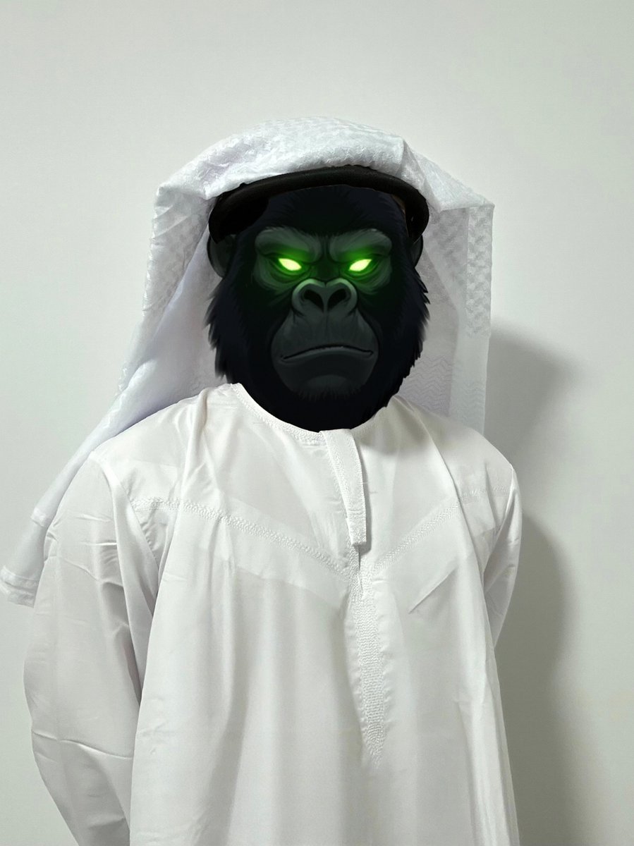 GORILLA ARMY on BNBCHAIN🦍 tweet media