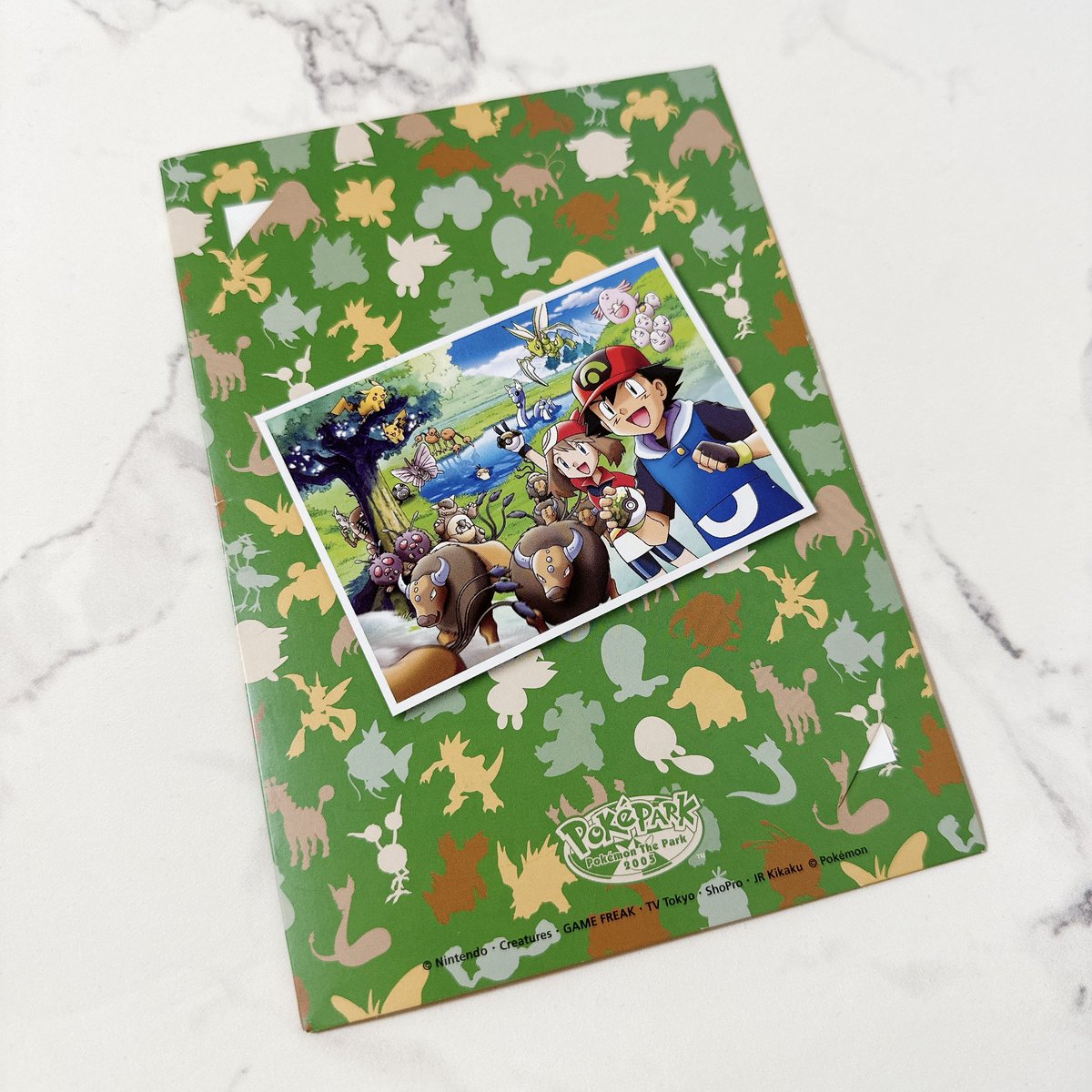 ポケパーク20周年⁉️ 私はポケモンわくわくサファリの写真ずっと取って