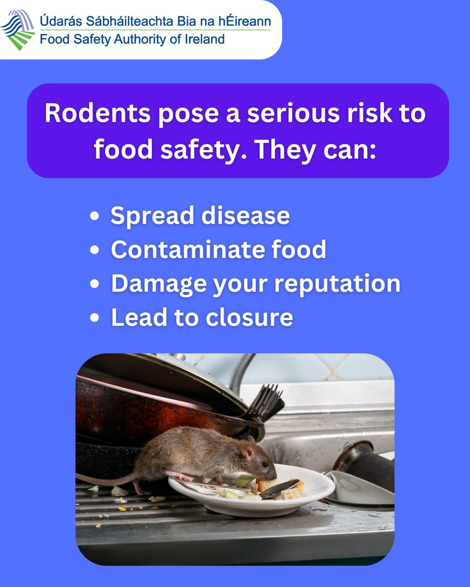 FSAIinfo's tweet image. 🐀 Don't let pests take over your premises! 🚫We remind food businesses to prevent and control pests: keep premises clean, seal entry points, and store food properly.

👉ow.ly/fW0U50VjK0C

#FoodSafety #FSAI #PestPrevention #RodentControl #FoodBusinessTips