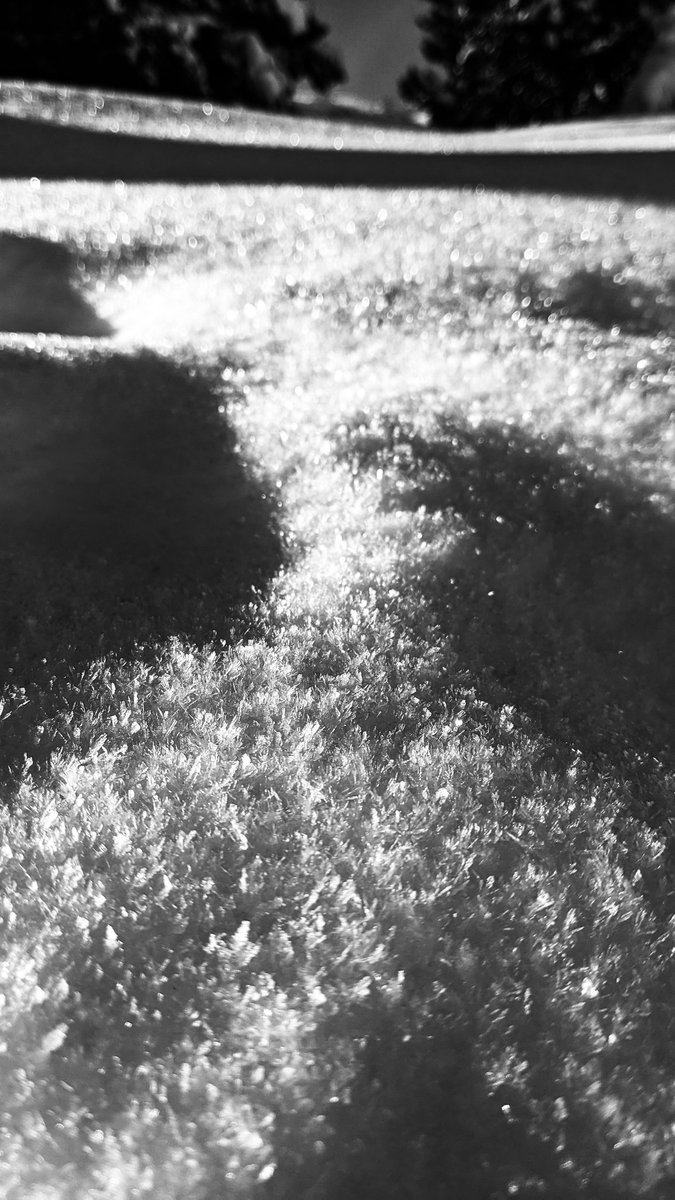 Dia de contrastos per Maladetes!