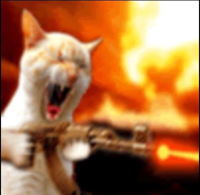 laboratory jones 🦟 tweet media