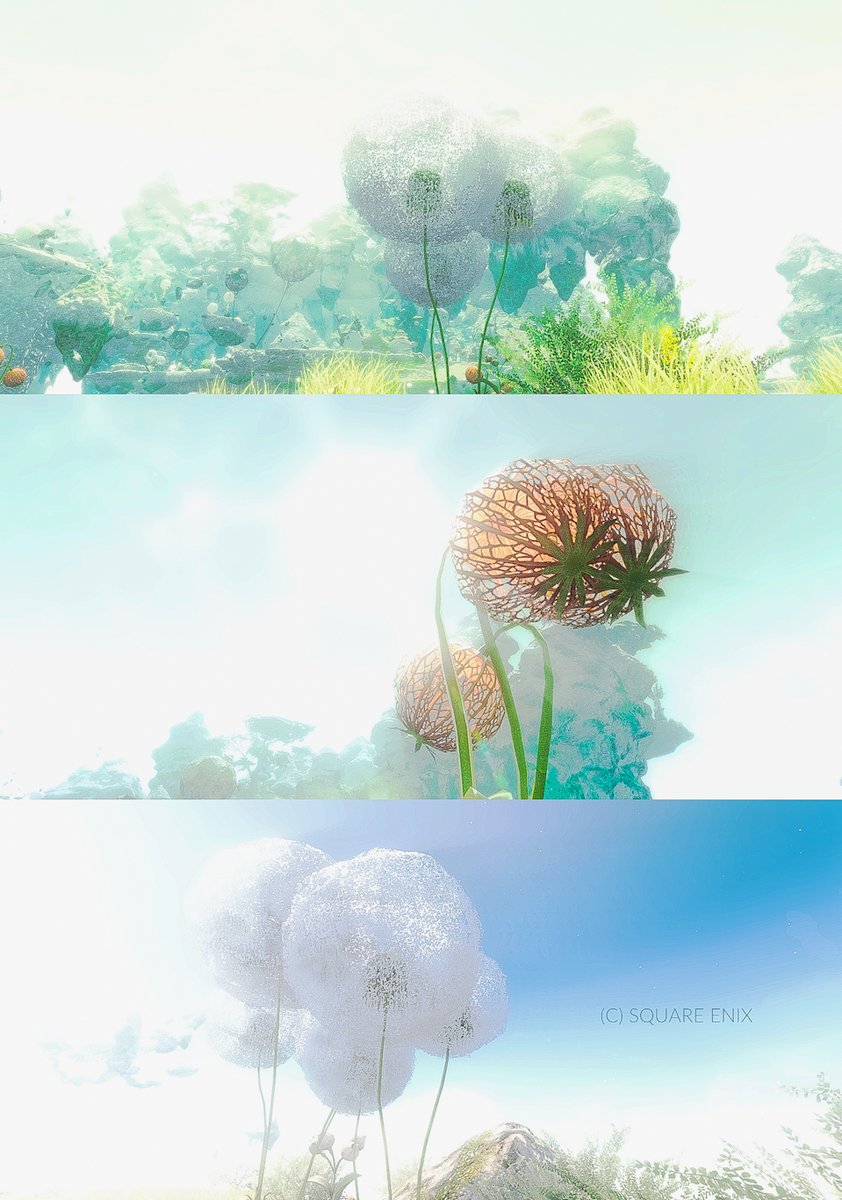 春分
#FF14風景