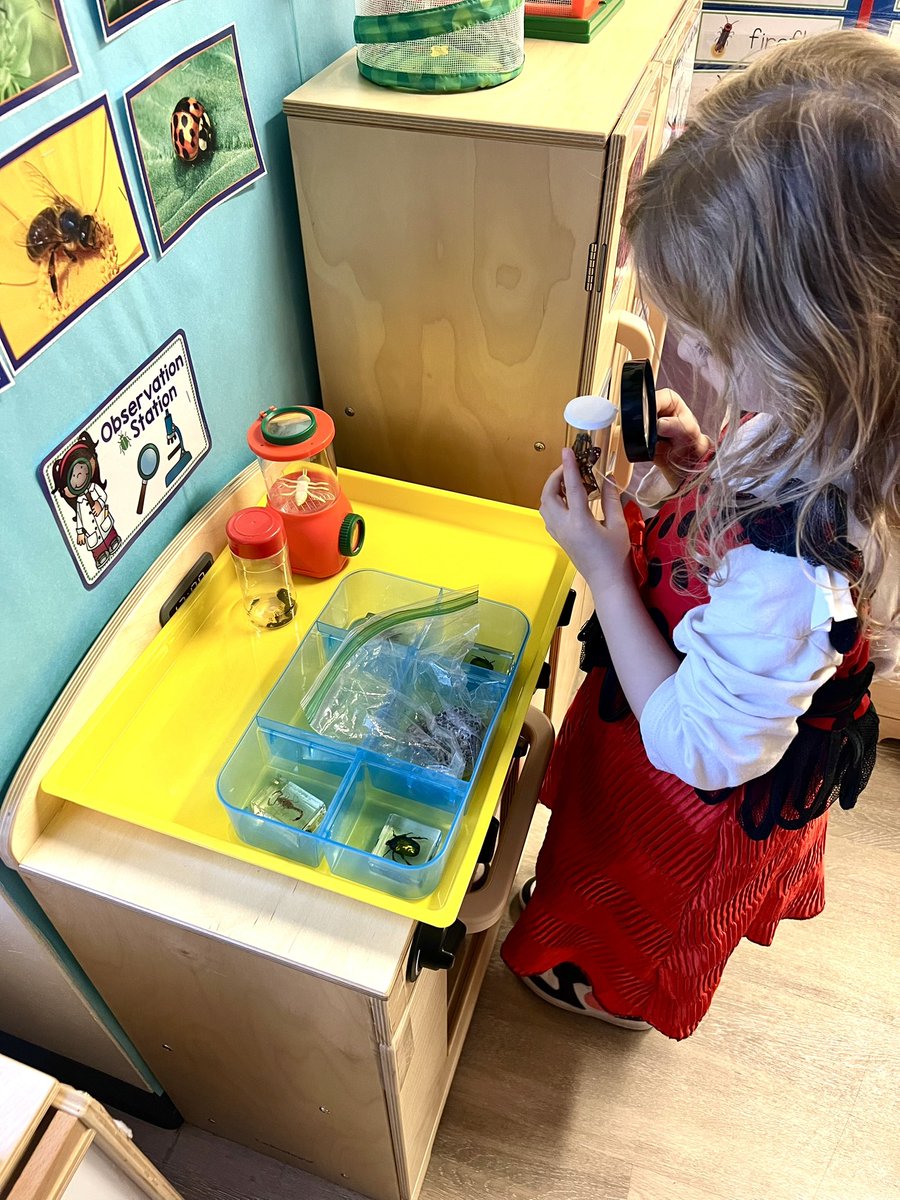 Entomology Lab Pretend and Play center. Students are pretending to be entomologists in PreK 4 🐛🐞🪲🐜 
#RISDprek @PrairieCreekEl1