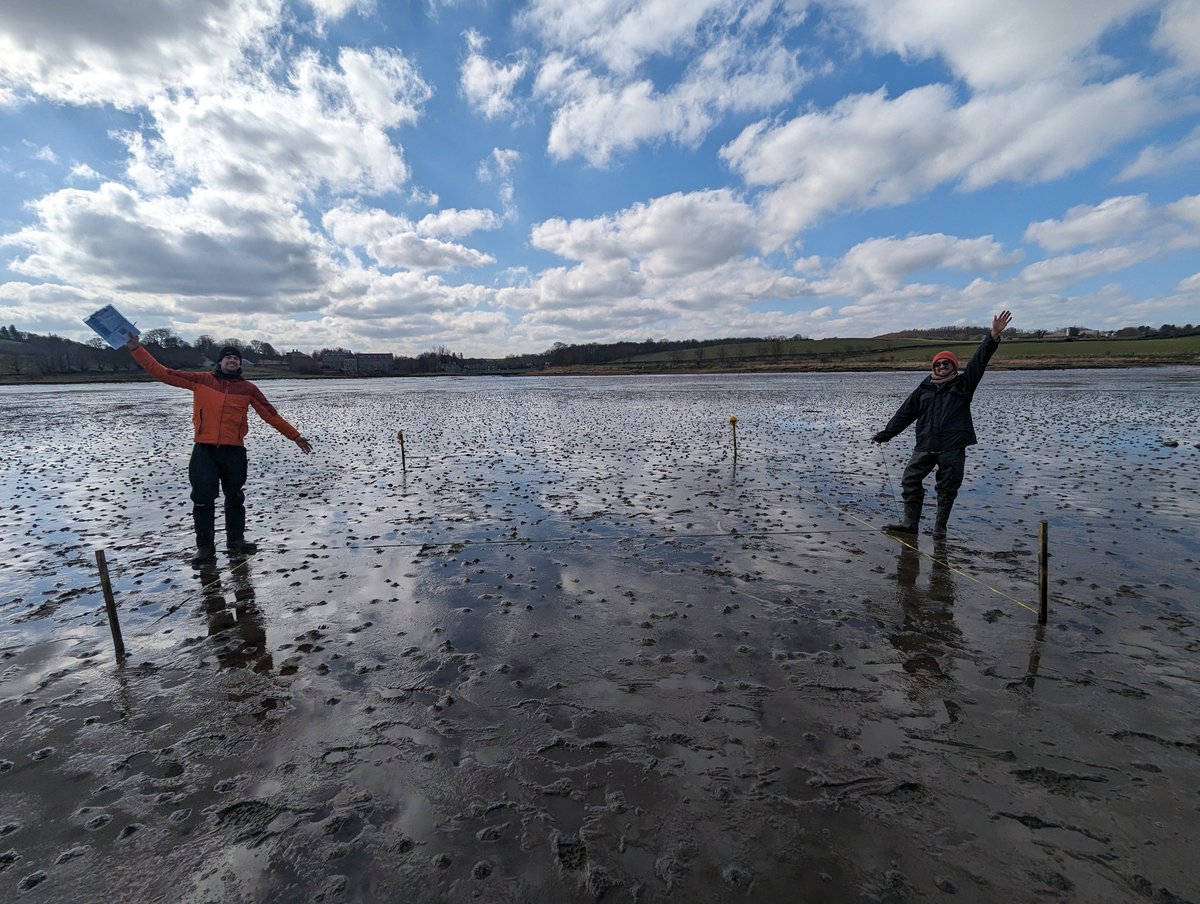 Charlotte Jennings tweet media