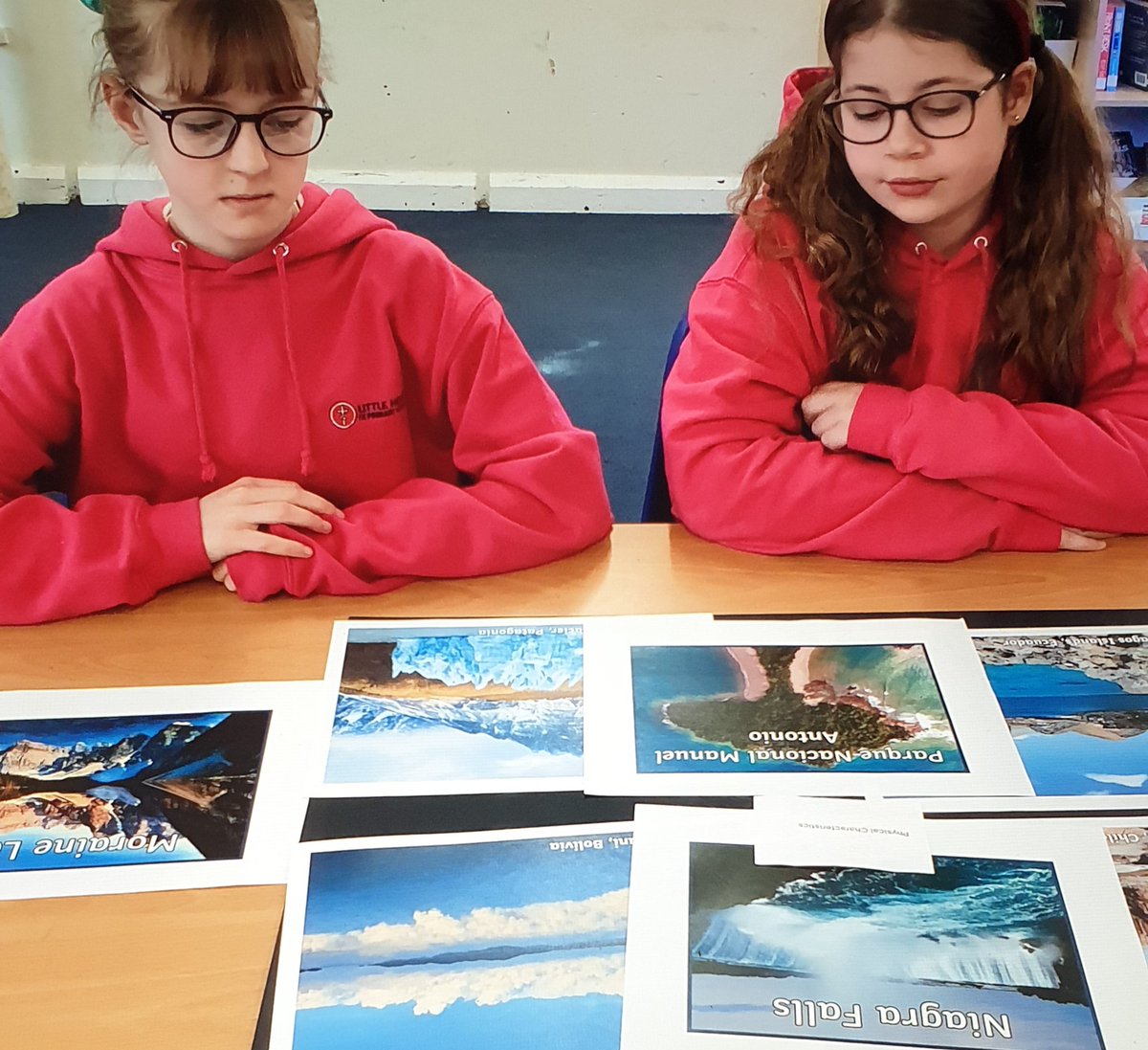 LHoughtonPrimary tweet media