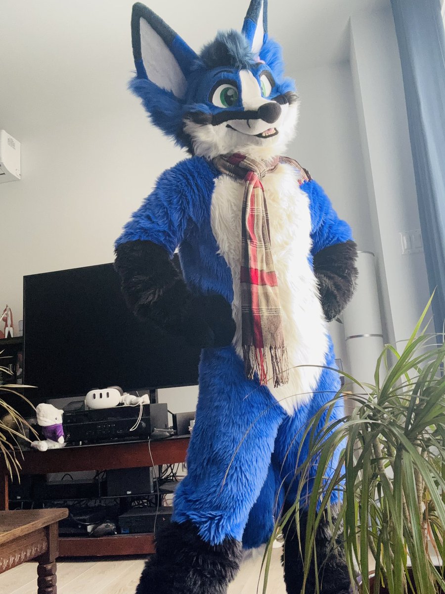 This smol 4'11"  blue fox will be at FE this week end , don't be shy to talking with me , photo and hugging hihi 
I have a weird and cute english accent 🦊
Im a fox so im too muuuch yipppeeeeee 😄🦊🦊🦊 #FurnalEquinox2025 #furnalequinox #furry #fursuit