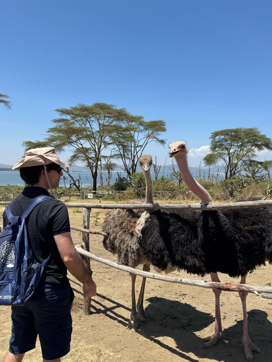 Georgetown McDonough tweet media