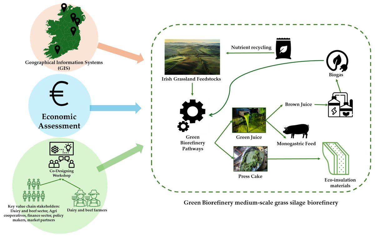 🌱 New in Grasses! ♻️

"Determining a Suitable Local Green Biorefinery Model for Adoption by Irish Livestock Farmers Using a Mixed-Method Co-Design Employing Economic and Geographical Information Systems Analysis"

by Alice Hand et. al

mdpi.com/2813-3463/4/1/…

#Bio#GIS #AgTech