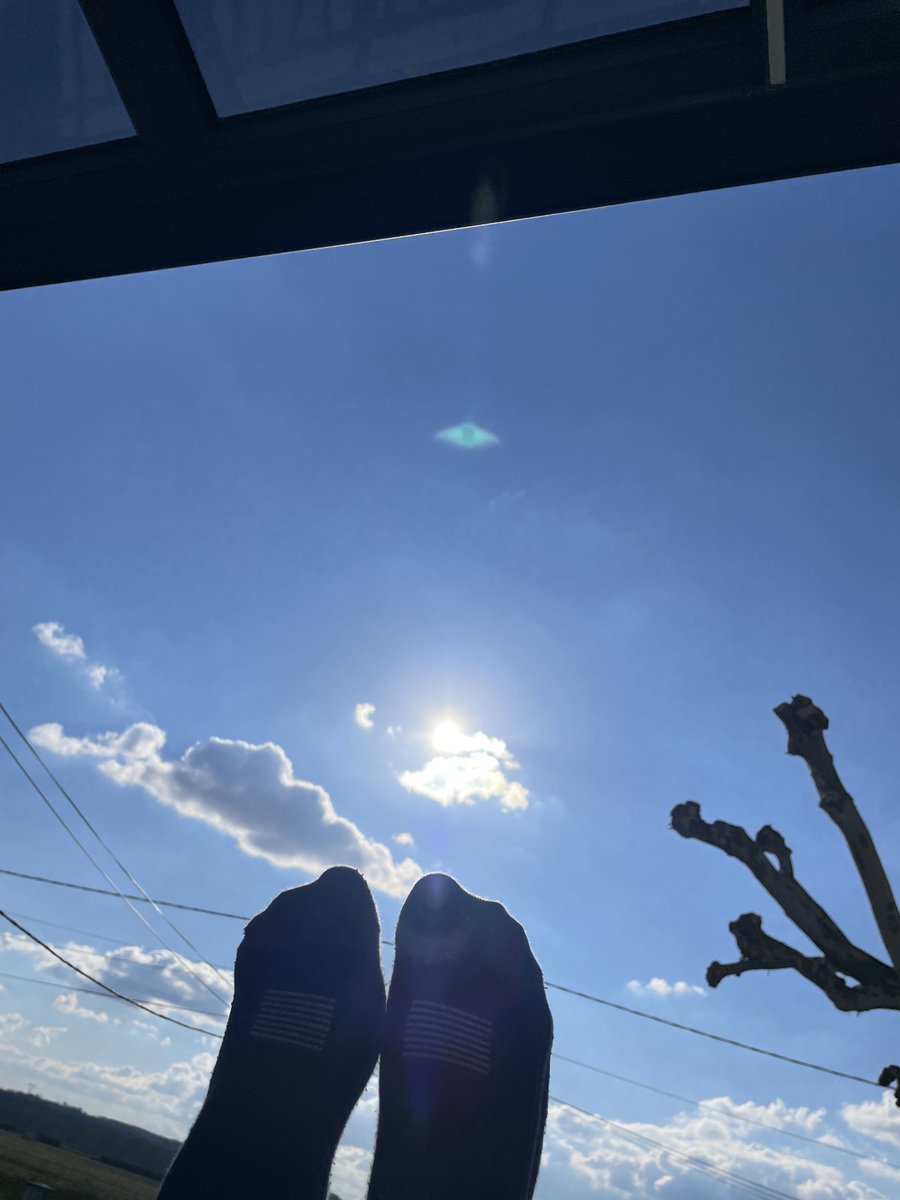 🍉 𝐒𝐞𝐥𝐢𝐦 ᥫ᭡☆ tweet media