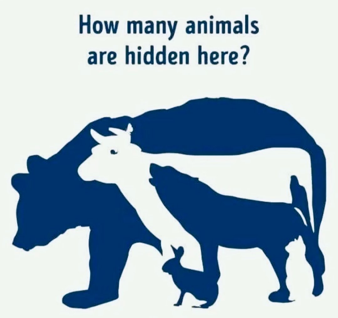 Carlos Estrada 🫶🏾✌🏽 tweet media