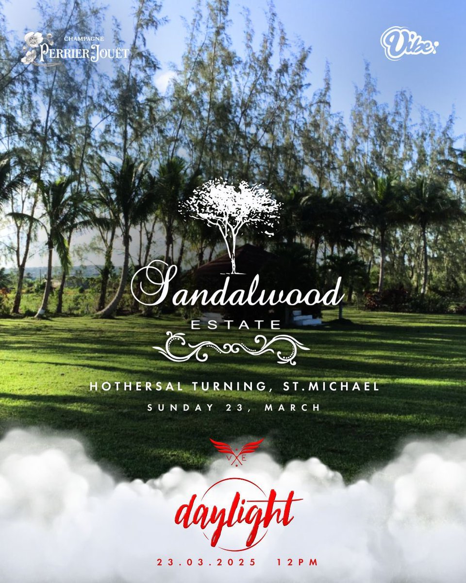 vidabyesquire tweet media