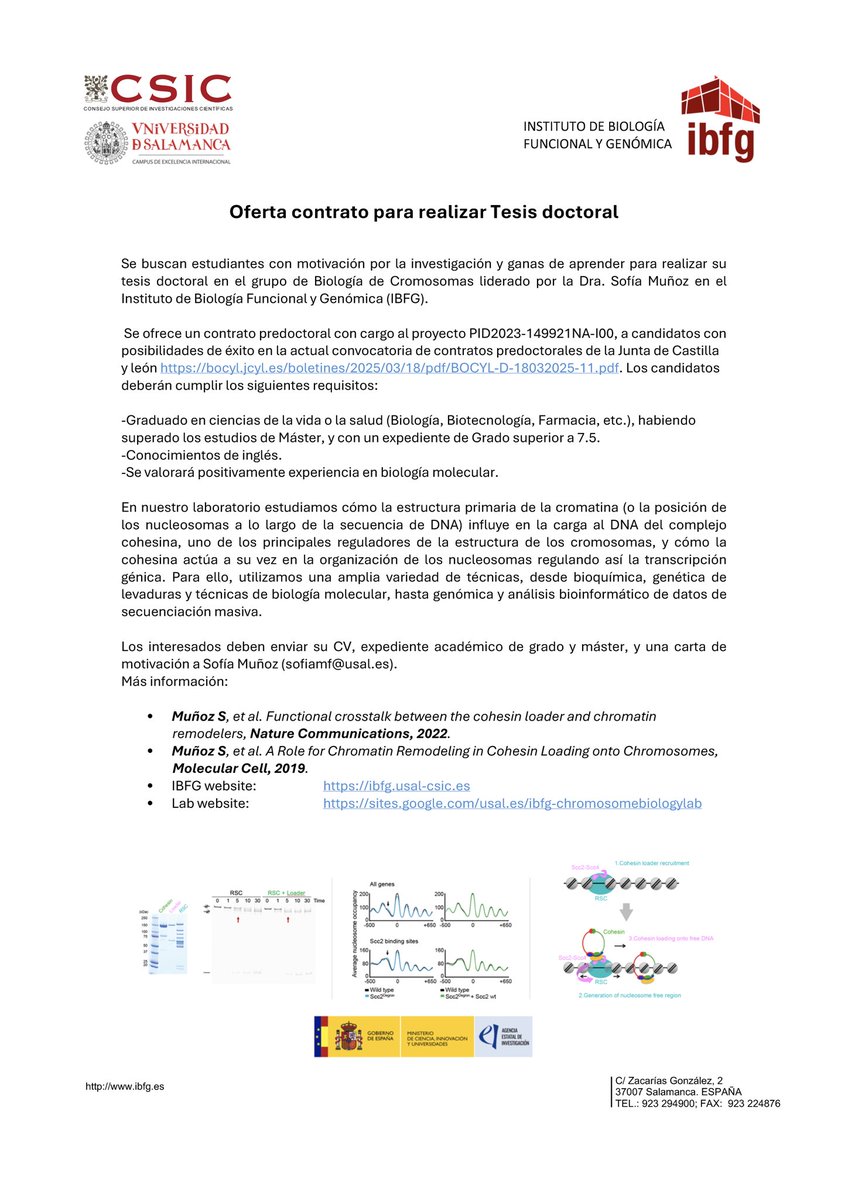 🔬Buscamos candidat@ para solicitar un contrato predoctoral de la JCyL‼️Ofrecemos contrato puente👇🏻👇🏻