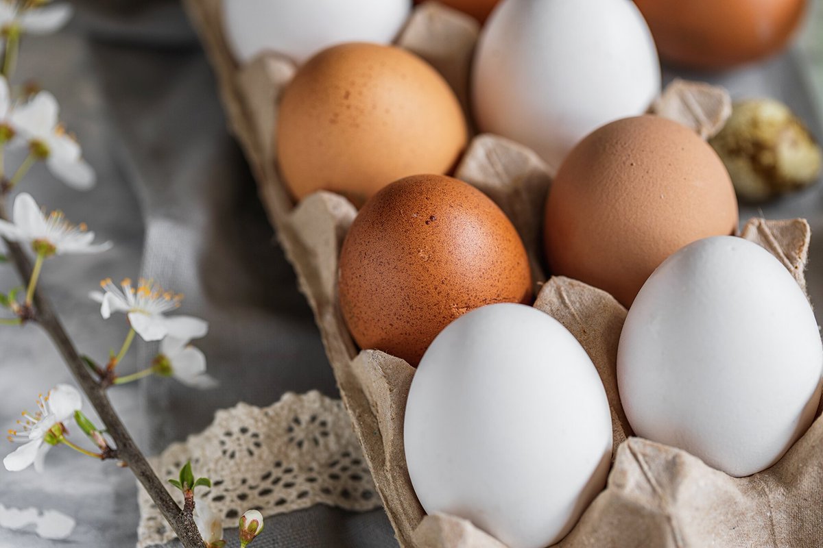 Den Deutschen fehlen halt einfach die Eier.

#Schuldenbremse