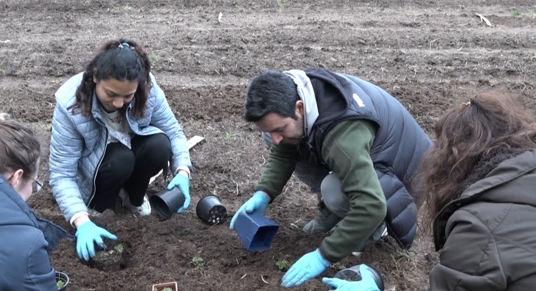 Verschillende culturen beheren samen moestuin in Koningslust
omroeppenm.nl/nieuws/nieuws/…