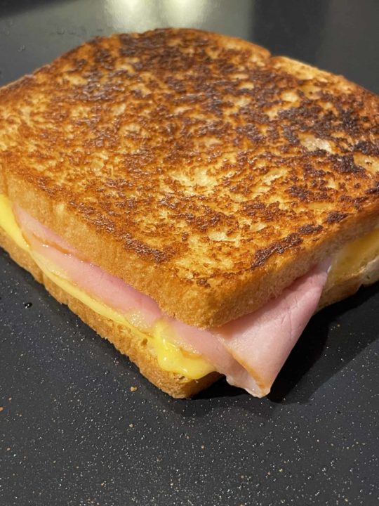 Grilled Ham &amp; Cheese
yes or no?