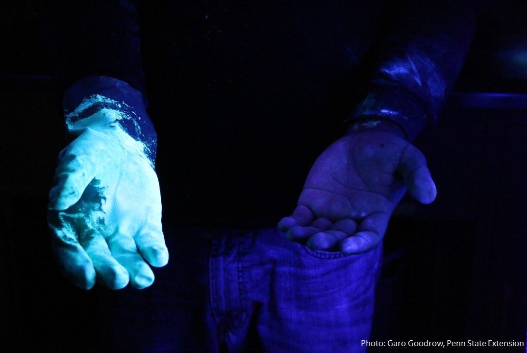 Hands and forearms get the most exposure when working with pesticides. Gloves reduce that exposure. Using a florescent dye, this applicator shows the protection that gloves offer. Take time to look at your pesticide products to make sure you have the correct gloves to stay safe.