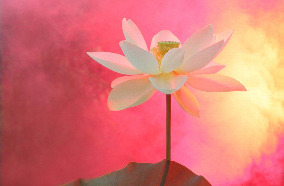 Ramblings tweet media