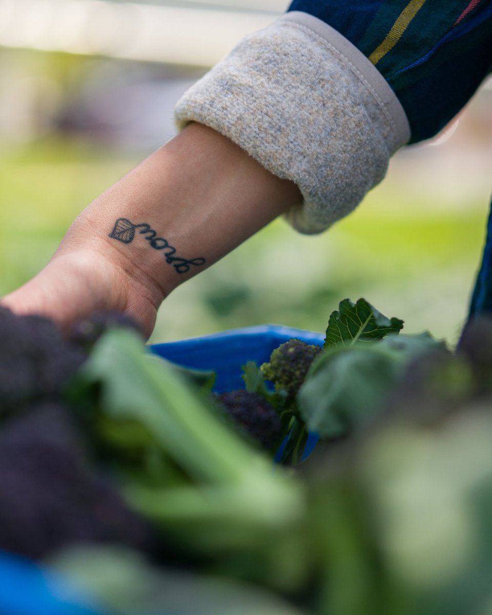 UNH Ag Research tweet media