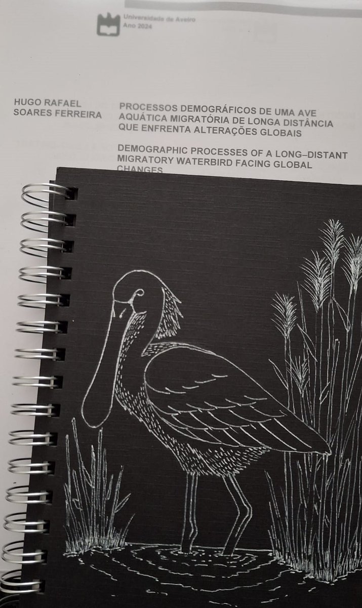 Now that I’ve finally rested, I want to thank all the observers, technicians, volunteers, colleagues, supervisors, friends, and family, who made this thesis possible. The best part of the defense was feeling all the love and support. Obrigado, see you in the next challenge! :D