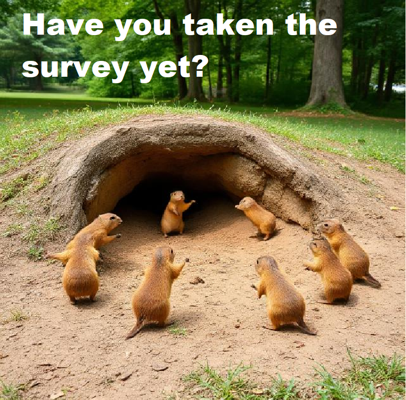 surveymonkey.com/r/GLQY2X3  Nanton Quality of Life Survey