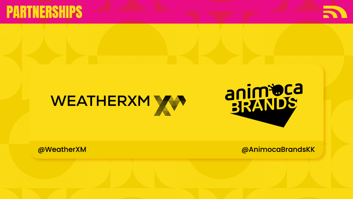 Dabba Network 🟨 tweet media