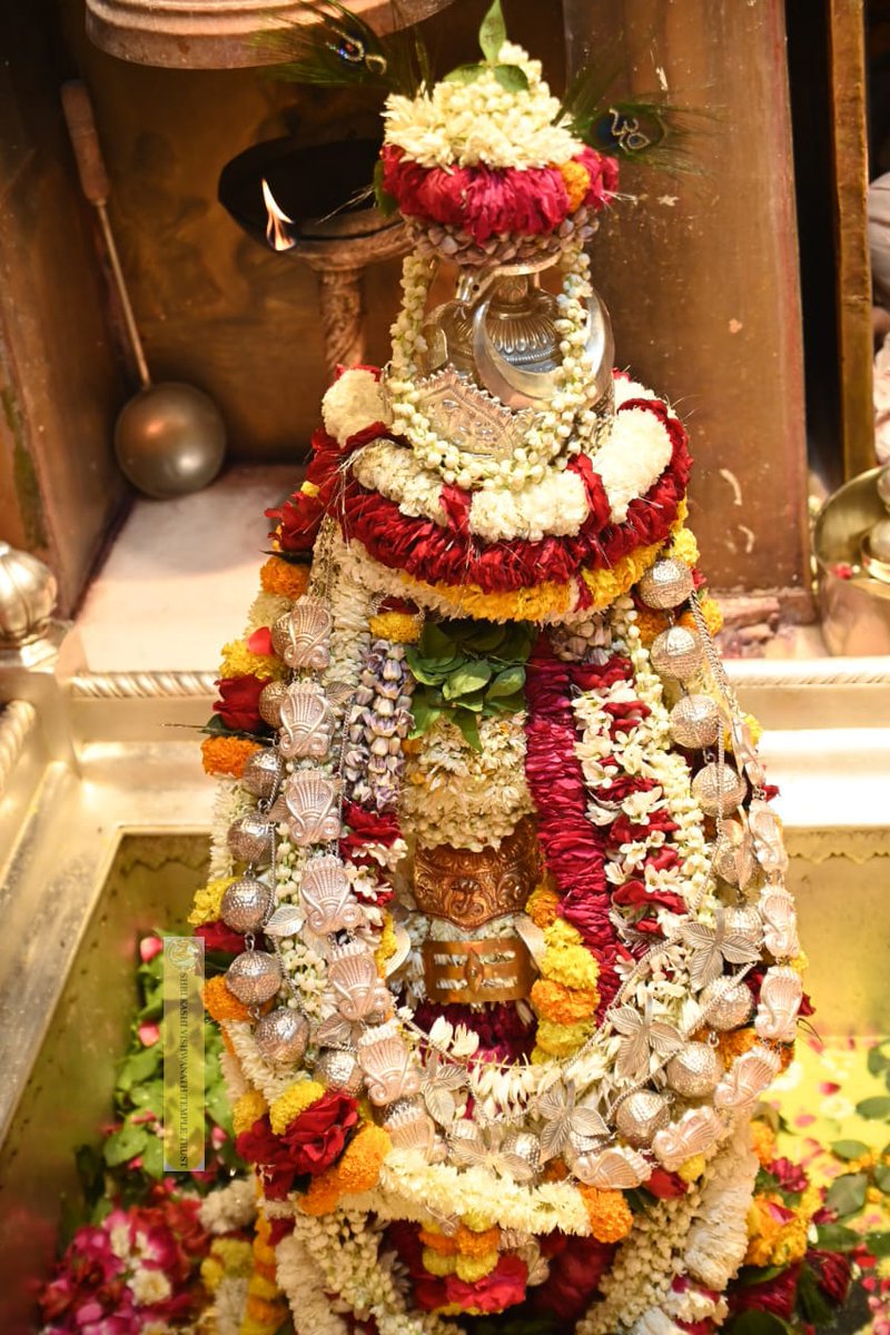 ShriVishwanath's tweet photo. आज श्री काशी विश्वनाथ जी की सप्तऋषि आरती I
#kashivishwanath #kashi #holi2025 #sanatandharma https://t.co/AfwBsqIw3T