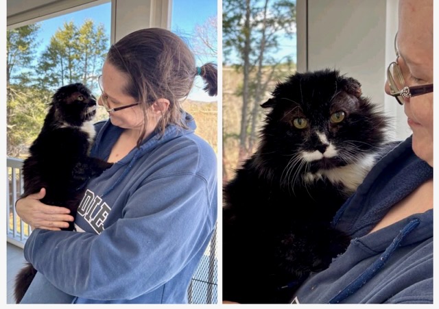 RappCatsAdopt's tweet image. 馃挄#Savior & Les!馃挄Saved f/ euthanasia by a caring vet, nursed back to health, now living his best life w/our shelter mgr! A big jowled tom cat & lover f/day 1馃挅
#cats #cat #pets #va #nova #washingtondc #maryland #virginia #dc #animals #love #luv #tuesdayvibe #tuesday #goodnews