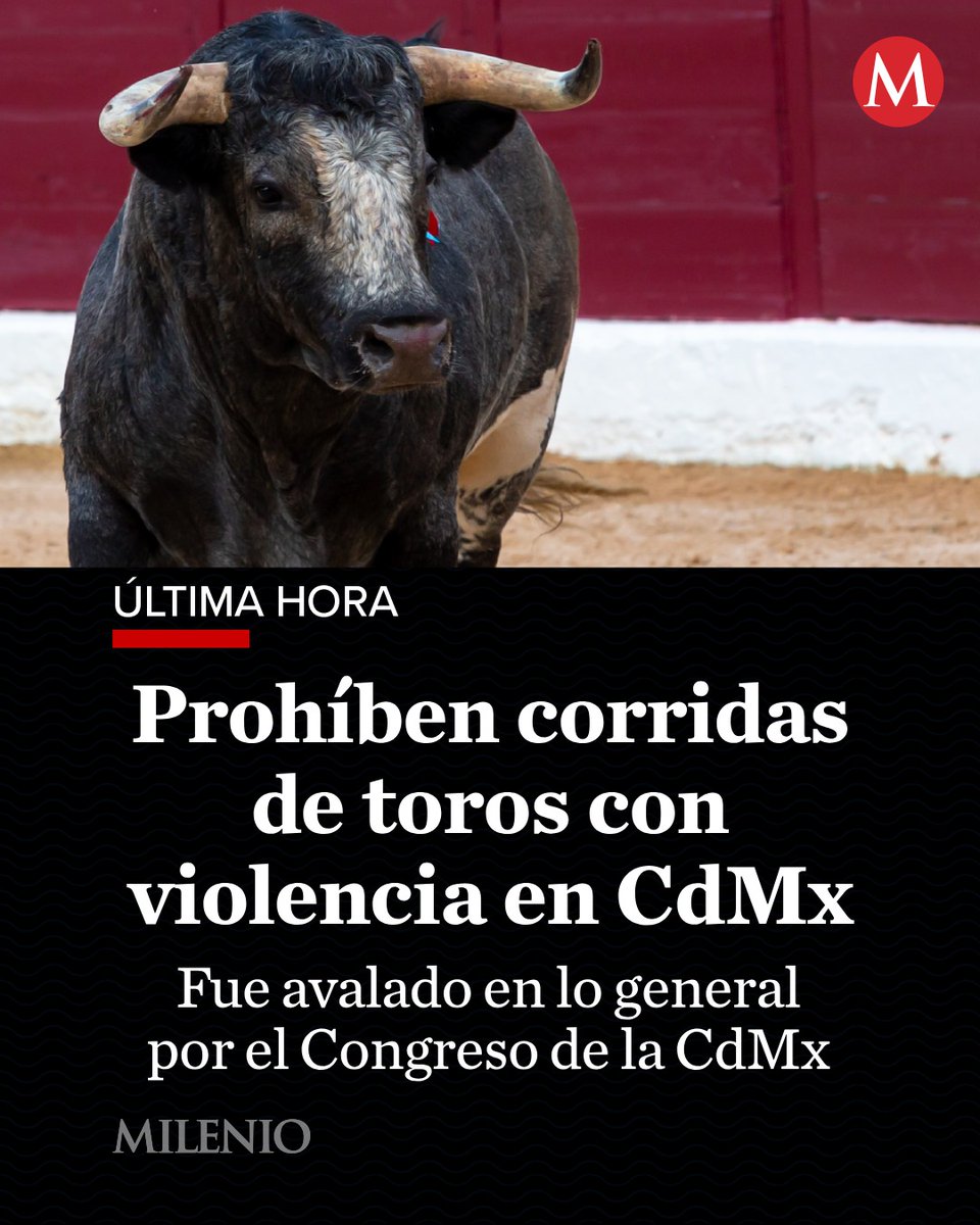 Milenio's tweet photo. 🚨 #ÚLTIMAHORA | Con 61 votos a favor y solo 1 en contra, el Congreso de la Ciudad de México dio luz verde al dictamen que prohíbe las corridas de toros con violencia. La medida busca reformar las leyes que regulan los espectáculos y la protección animal.

Aunque la iniciativa fue aprobada en lo general, el diputado Pedro Haces Lago y la Junta de Coordinación Política presentaron reservas para modificar artículos clave sobre la celebración de espectáculos y la protección de los animales. 🐂

🔴 Toda la información, aquí: https://t.co/VmwOIXfUdy