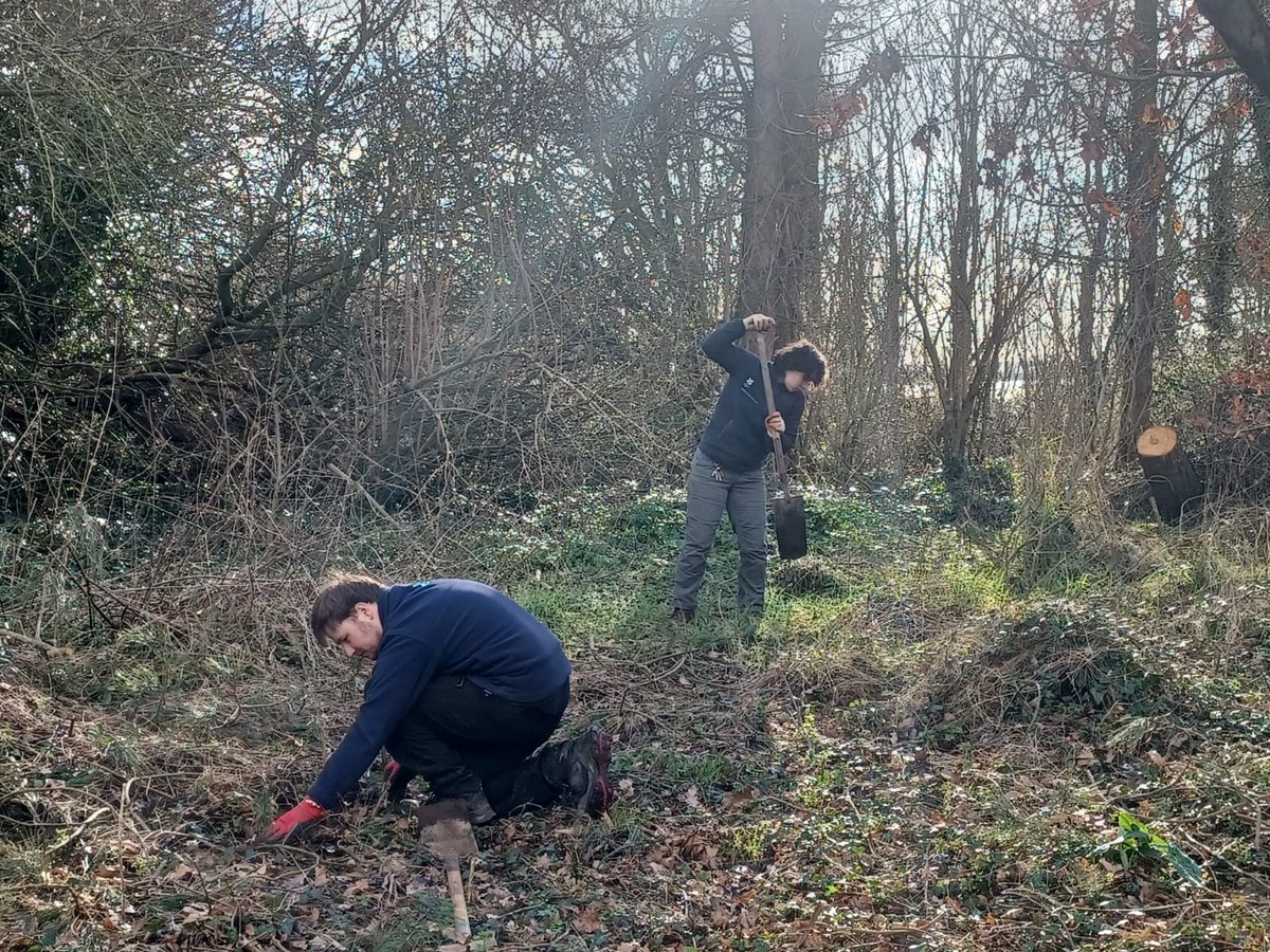 NT Strangford Lough tweet media