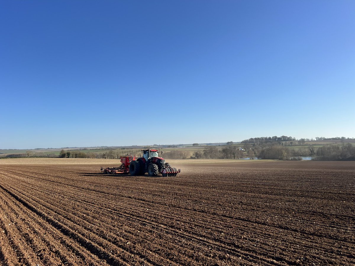 Paul Barnes tweet media