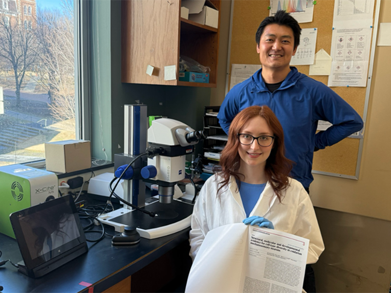 UofA_Research's tweet image. 🔬 Big discovery! Researchers at @UArkansas have linked human kidney disease gene to sensory neurons in sea anemones, shedding light on the evolution of hearing! 🧬👂
Read more: shorturl.at/t5nR9