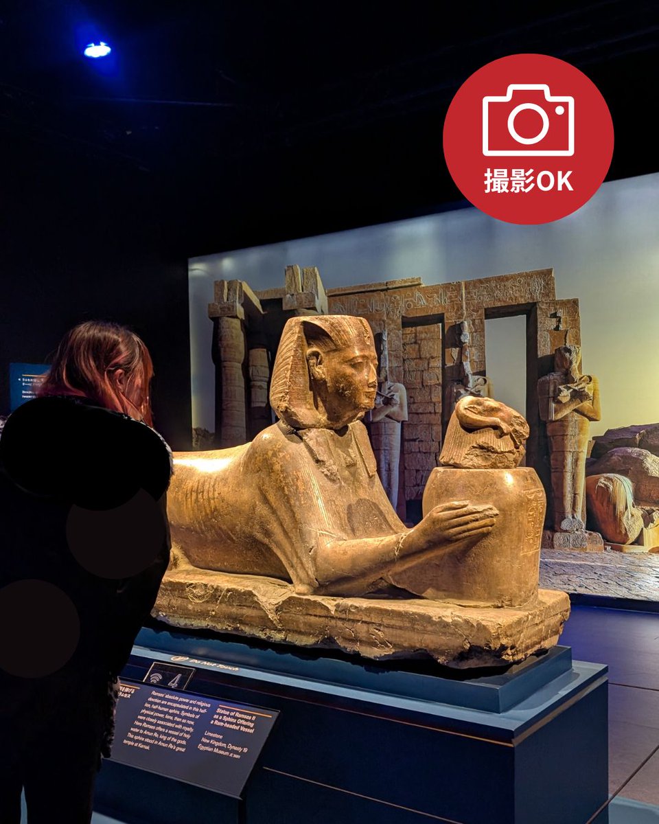 ACN ラムセス大王展 ファラオたちの黄金』 🎊好評開催中！ 館内は