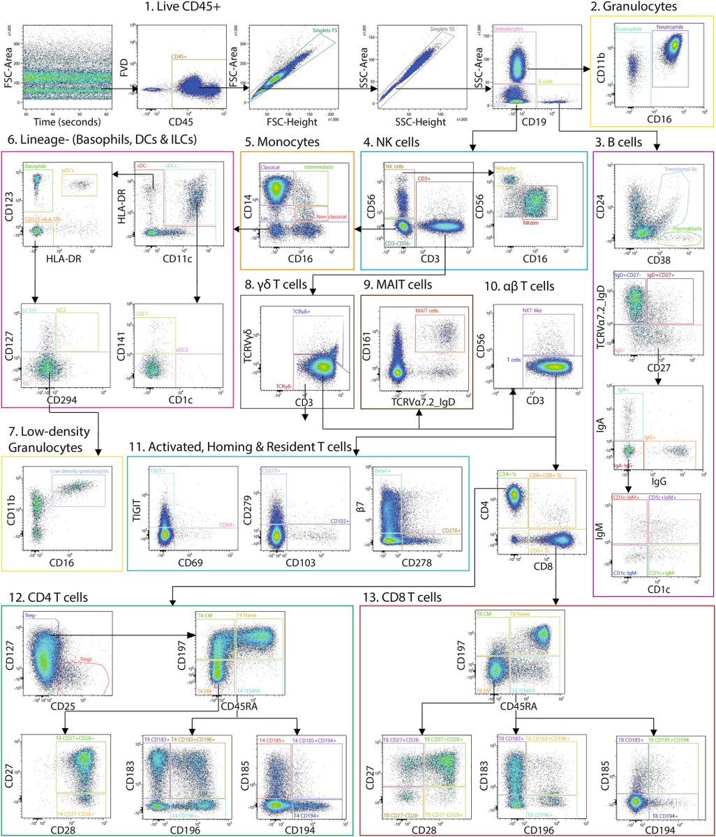42-Parameter (40-Color) Spectral Flow Cytometry Panel for Comprehensive Immunophenotyping of Human Peripheral Blood Leukocytes
doi.org/10.1002/cyto.a…