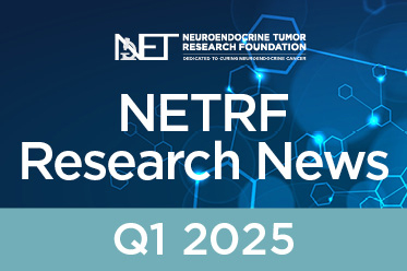 NET Research Foundation (@curenets) on Twitter photo š£NETRF Research News Alert! Read about the latest in #neuroendocrinecancer research in our new issue. tinyurl.com/4bykeymh #NETs #NECs #CancerResearch <a href="/NCFCancer/">Neuroendocrine Cancer Foundation</a> <a href="/NANETS1/">NANETS</a> <a href="/PheoPara/">Pheo Para Alliance</a> š£NETRF Research News Alert! Read about the latest in #neuroendocrinecancer research in our new issue. tinyurl.com/4bykeymh #NETs #NECs #CancerResearch <a href="/NCFCancer/">Neuroendocrine Cancer Foundation</a> <a href="/NANETS1/">NANETS</a> <a href="/PheoPara/">Pheo Para Alliance</a>