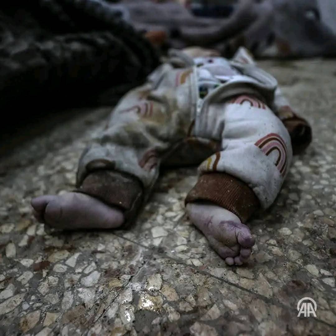 نن ولې هغه د نړۍ ستر طاغوت چپ پاتېده چې حقوق بشرې بغارې وهي، 😪💔
آیا دا بشر نده.؟