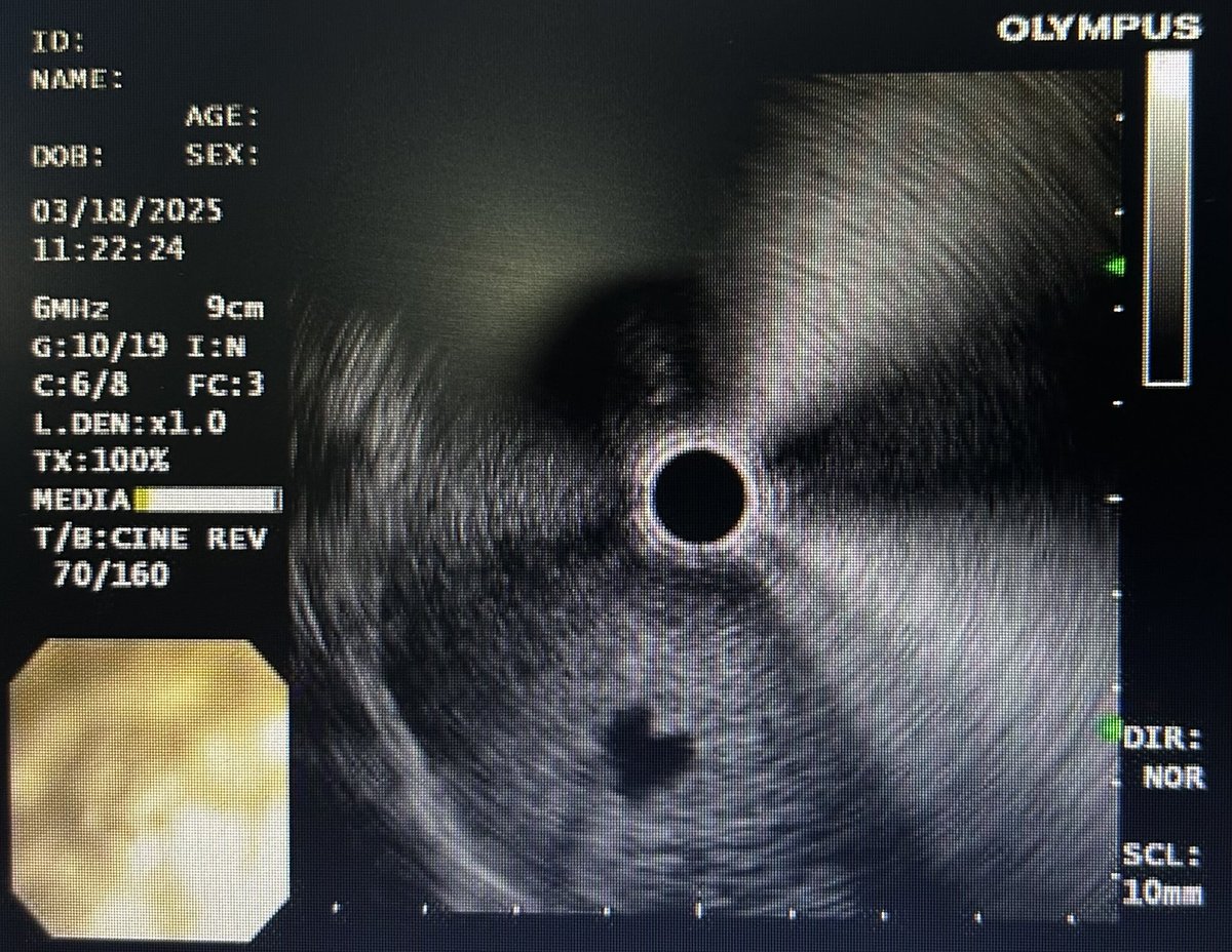 Alejandro Concha M tweet media