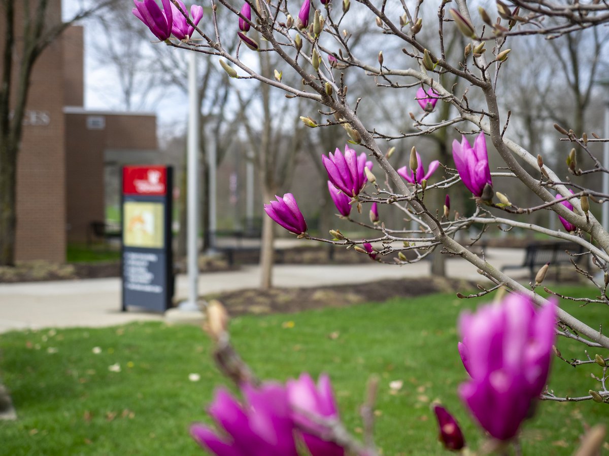 Did we actually get spring weather for #springbreak? ☀️🌷 Enjoy your time off this week, Bearcats!