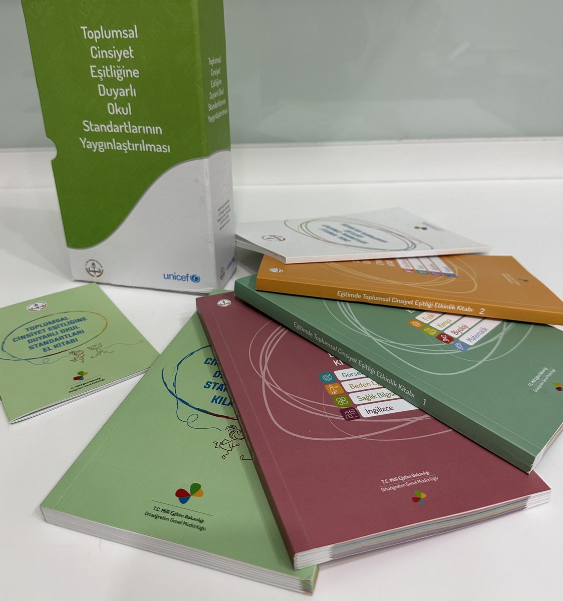 Sayın <a href="/Yusuf__Tekin/">Yusuf Tekin</a> bakın 2018 yılında <a href="/UNICEF/">UNICEF</a> ile işbirliği halinde güzel bir iş yapmışsınız. Ortaöğretim kurumlarında fizikten matematiğe, İngilizceden felsefeye tüm dersler için toplumsal cinsiyet eşitliğine duyarlı içerikler hazırlamışsınız. Naylon sendika ve gerici bir