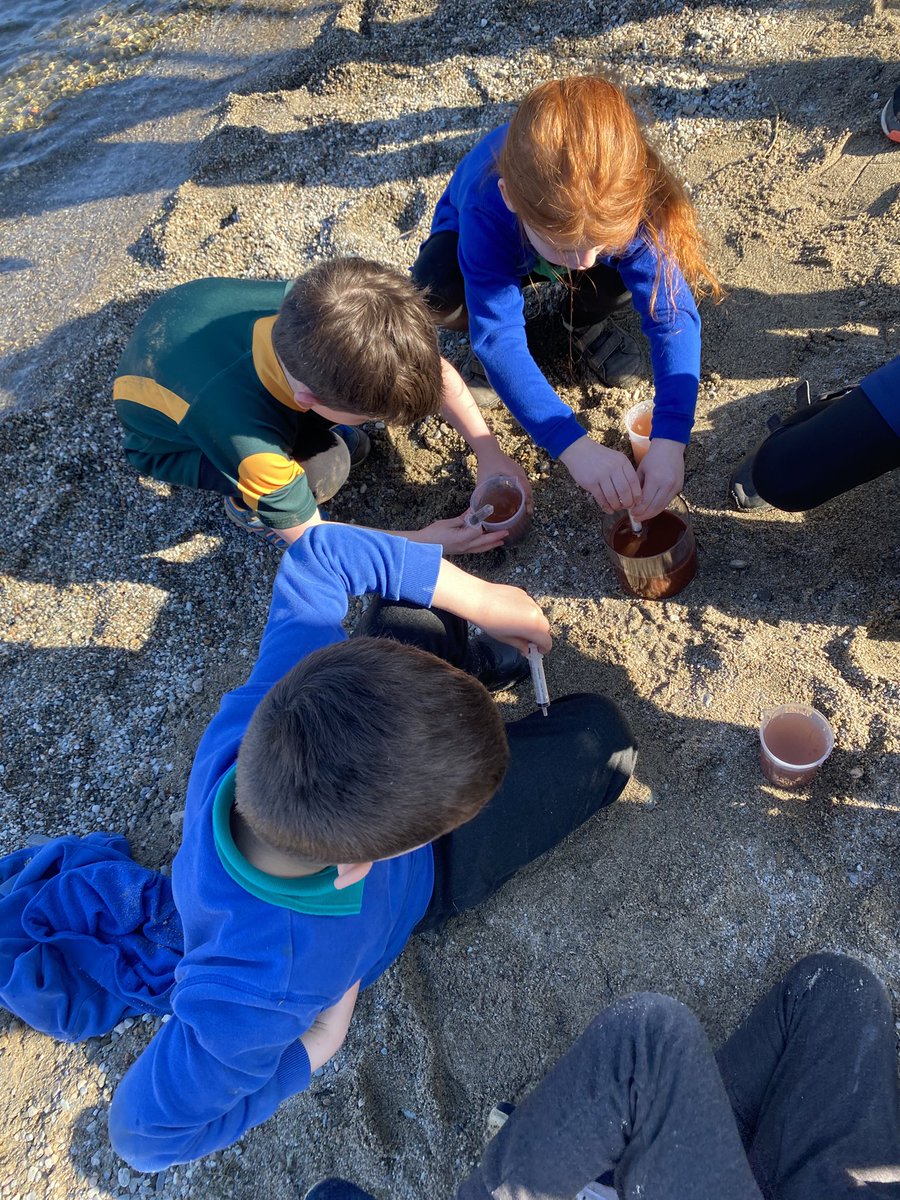 lussprimary's tweet image. What happens to life below water if we pollute our rivers and lochs ? Today we have combined our Maths with Science as we set out to investigate. @GlobalGoalsUN