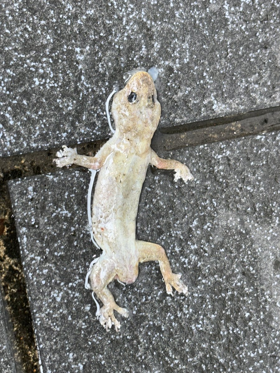 談戀愛之後就很少在用文字紀錄自己ㄌ
感覺能一次就上