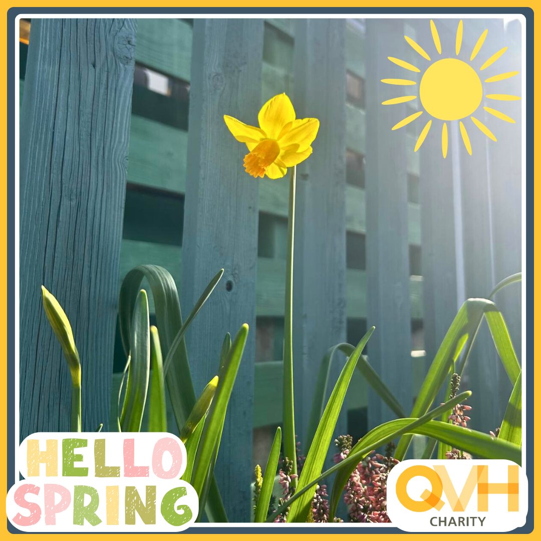 #Spring has truly sprung in one of our lovely hospital gardens! ☀️

Helped by the recent sunshine but also by #HaskinsGardenCentre Snowhill, as they kindly spruced up some of our outdoor spaces &amp; gifted us some planters for our patients + staff to enjoy.🌸

Thank you Haskins!💛