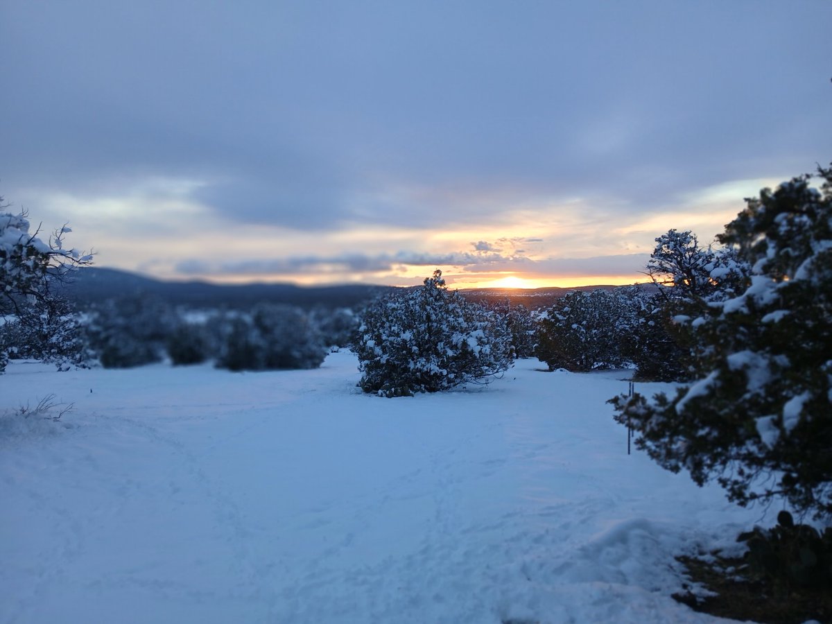 I've been a bit quiet for the last few days.. 👀 

Took some time to disconnect from the digital world &amp; within that time, I secured:

- Building resources &amp; backing for the next three months strictly for this purpose. 

- Finshed my green house &amp; garden layout, which will be