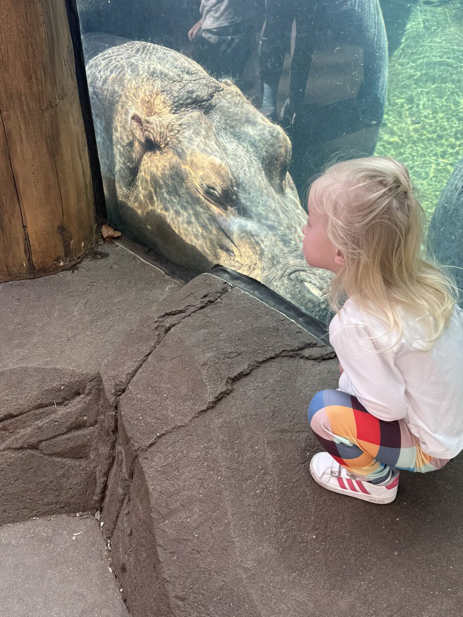 jperry_nixa's tweet photo. FYIโฆ. When coming to the St Louis Zoo, pack your walking shoes! I think we had to park in IL ๐ #SpringBreak25 https://t.co/Mf679iCQGU