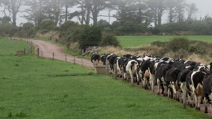 Tirlán will pay a total of 56.08 cent per litre (cpl) (including VAT) for February creamery milk supplies at 3.6% butterfat and 3.3% protein. Read more👉 bit.ly/4bY0MqN