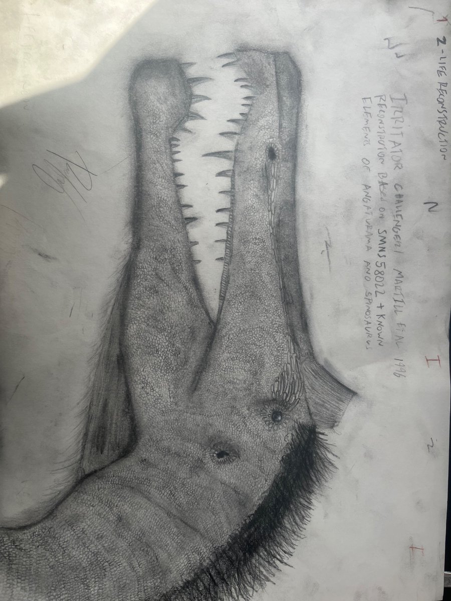 ⁜ aspar 🇬🇷 ✚ tweet media