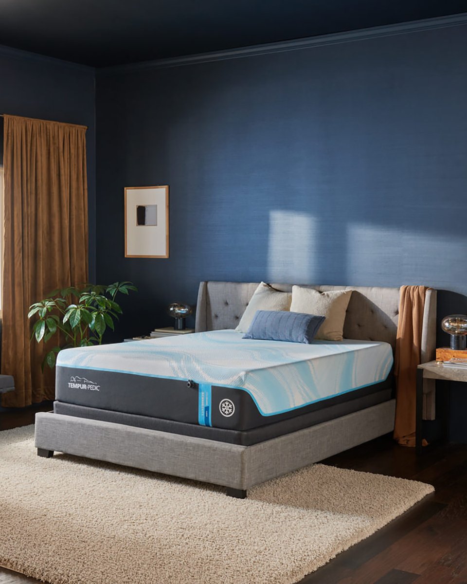 Gabberts's tweet image. March is National Sleep Awareness Month, a time to reflect on how we rest and its impact on our health and well-being. 💤 
bit.ly/4h3yAUx
#gabberts #gabbertsfurniture #finefurniture #furniturebydesign  #mattress #tempurpedic #aireloom #stearnsandfoster