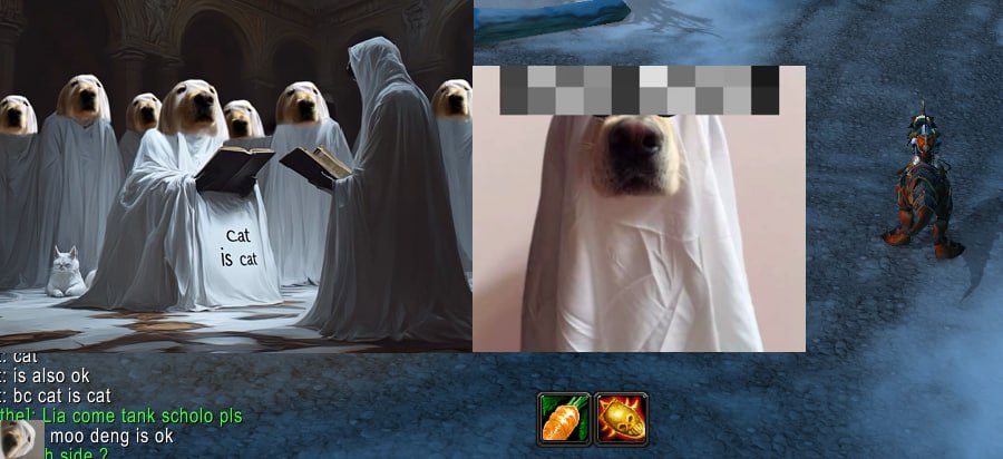 definitely a cat tweet media