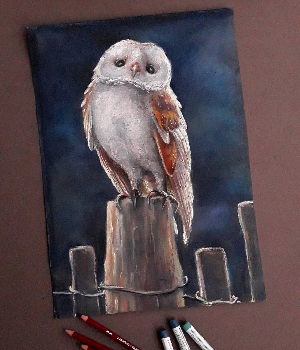 alena12gi's tweet image. Good evening, friends! ✨  
The barn Owl chick pasel drawing🪶🦉 40x30cm 
#drawing #pasteldrawing #nft #ArtistOnTwitter
 #art #ThursdayVibes