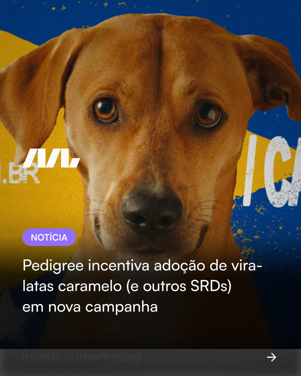 A campanha "Pedigree Caramelo", com Tatá Werneck, luta pela adoção responsável e contra o preconceito aos vira-latas, promovendo um movimento social pelos SRDs. 

Leia a matéria completa: zurl.co/4071n  

#pedigree #mundodomarketing #campanhas #criatividade